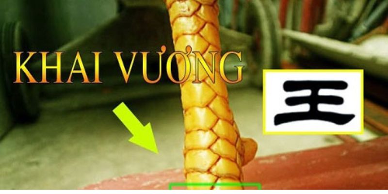 Vảy khai vương là gì?